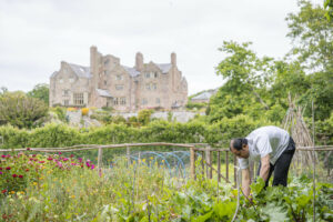 Kitchen garden at Bodsygallen Hall