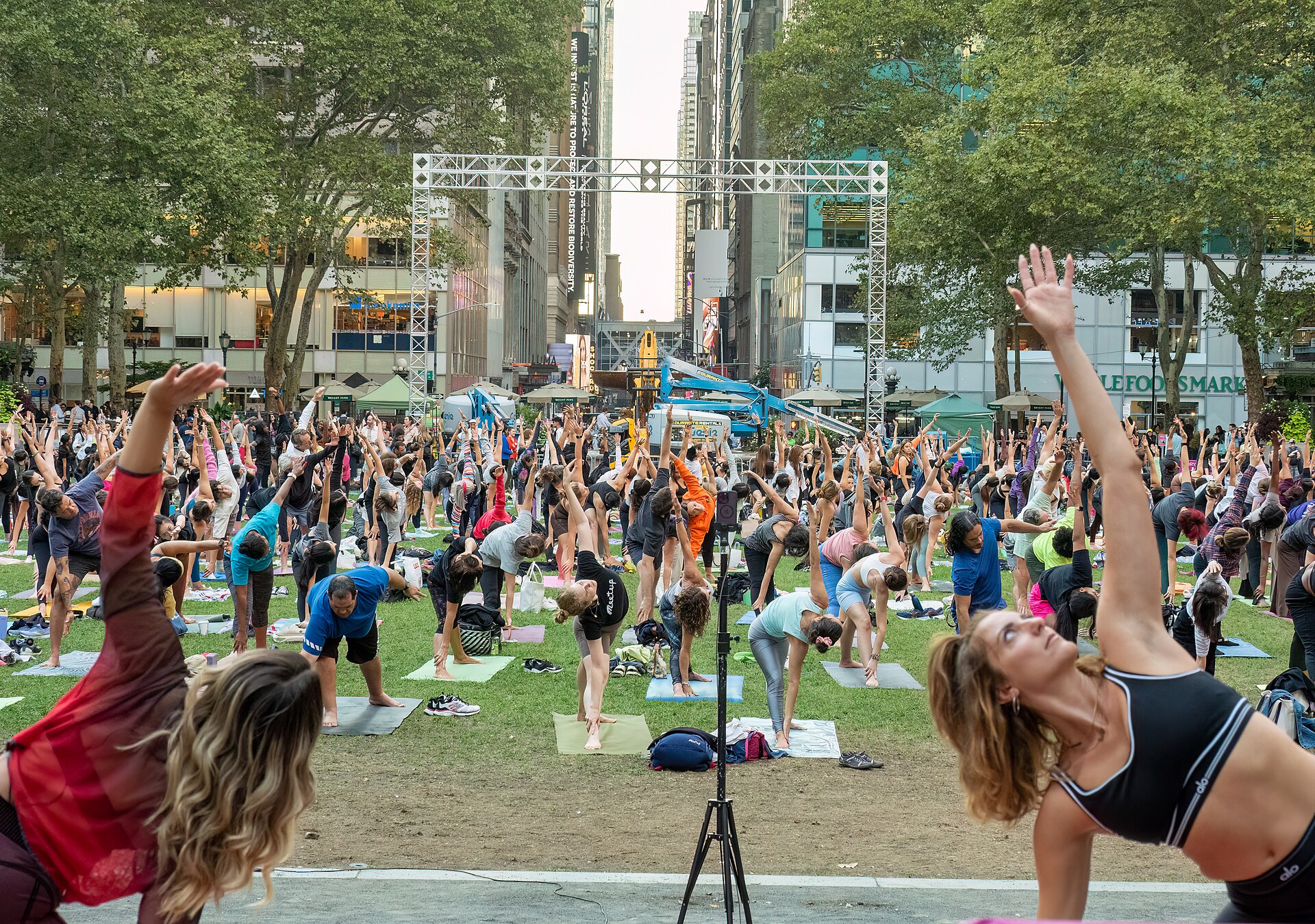 What is yoganomics